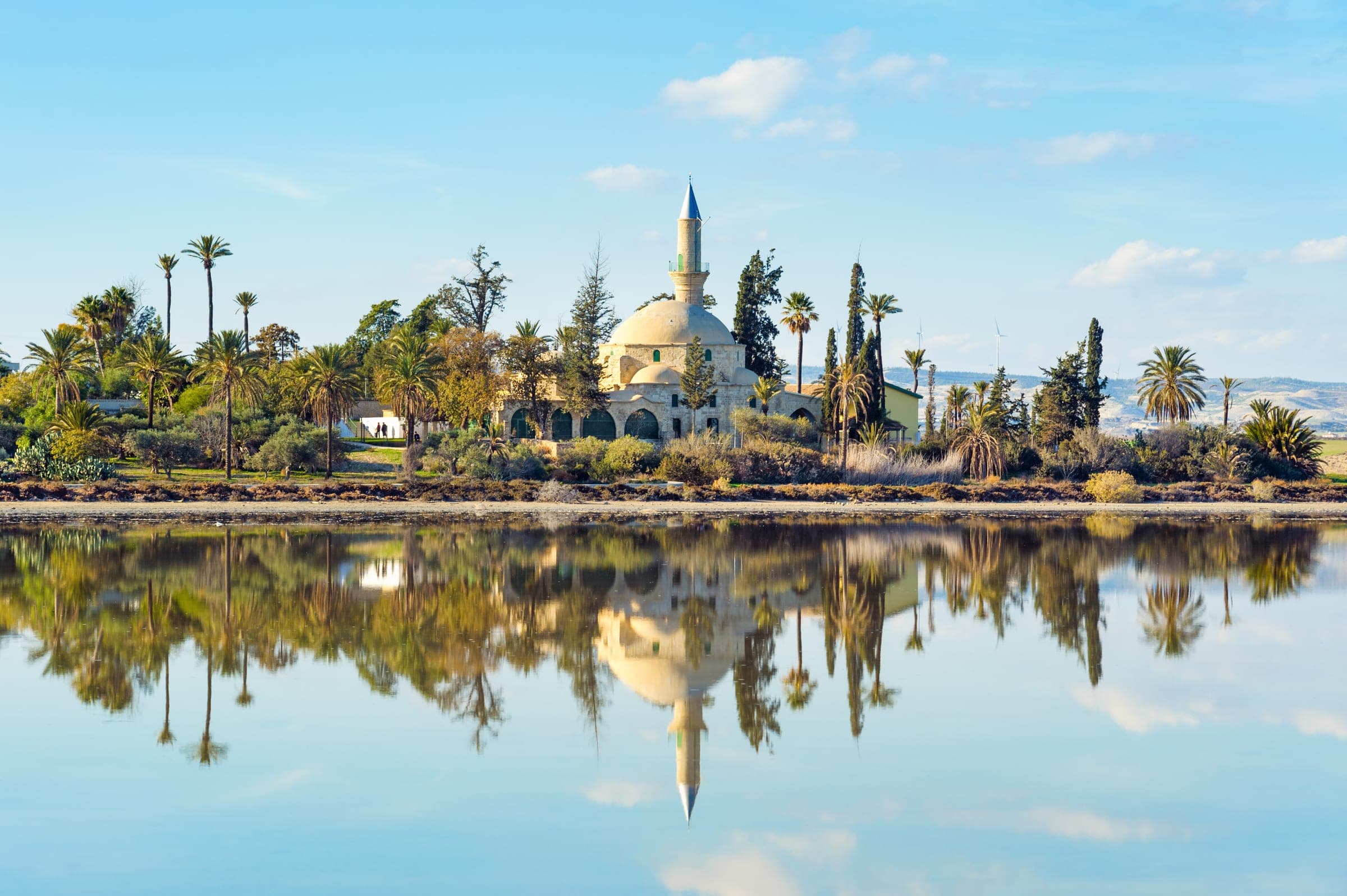 Hala Sultan Tekke aan het zoutmeer van Larnaka tussen palmbomen
