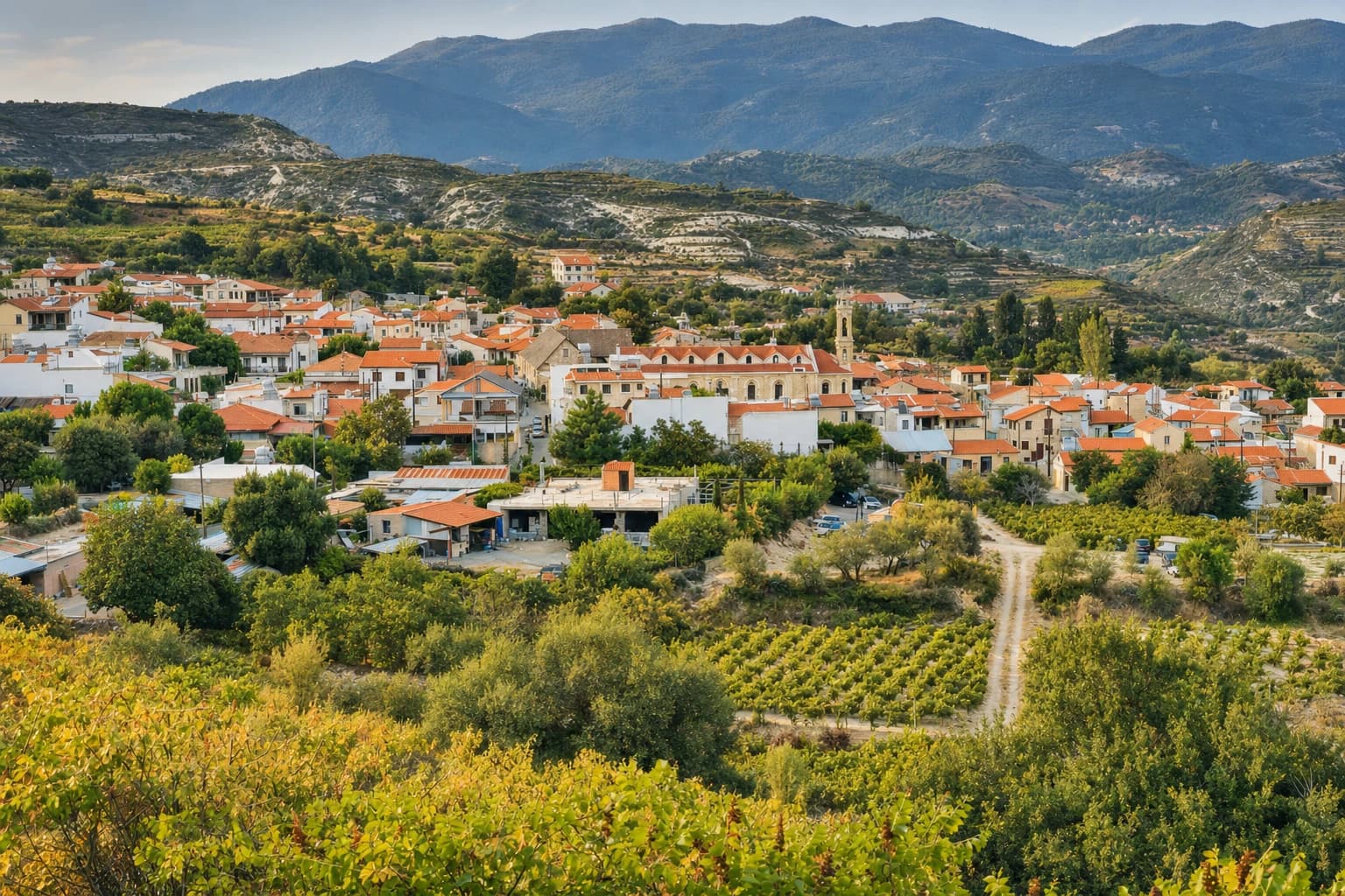 Bergdorp tussen wijngaarden en groene hellingen in het Troodosgebergte