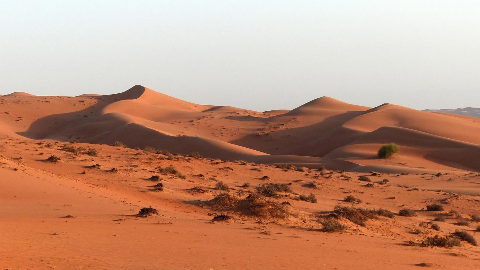 Oranje zandduinen van Wahiba Sands in Oman