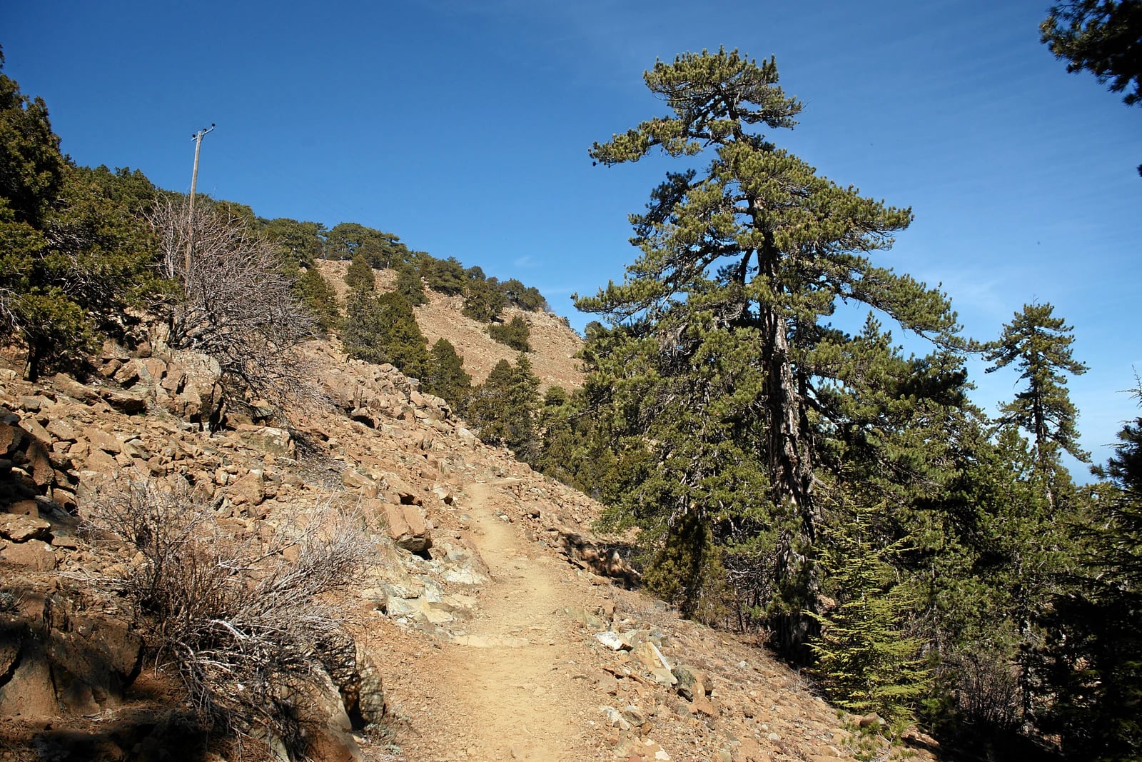 The Artemis walking trail among rocks and pine trees in Troodos