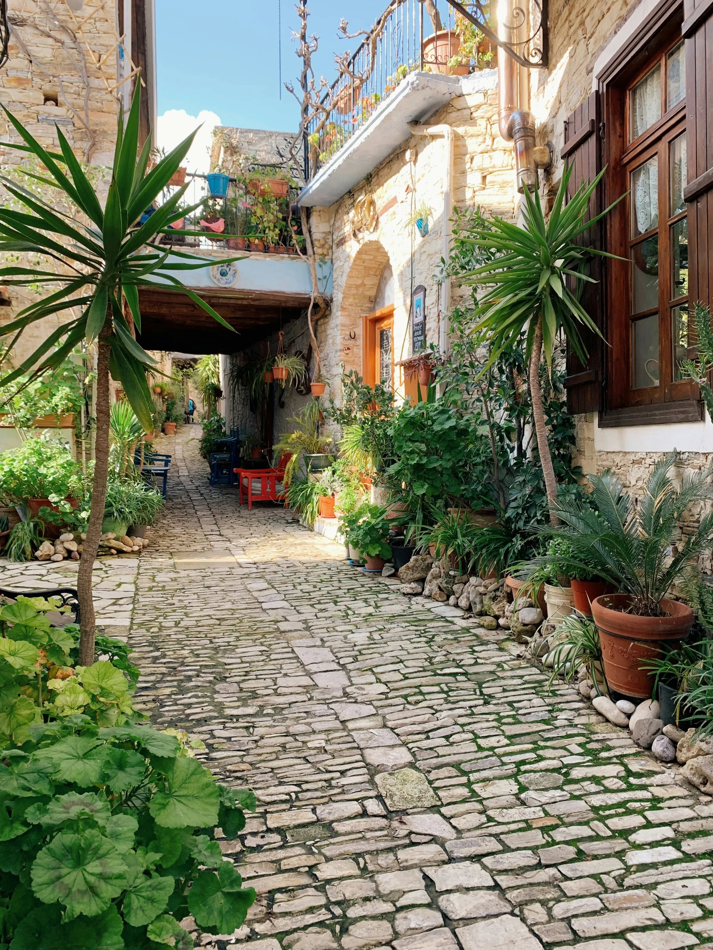 Traditional courtyard with flowers and plants in Lefkara, Cyprus